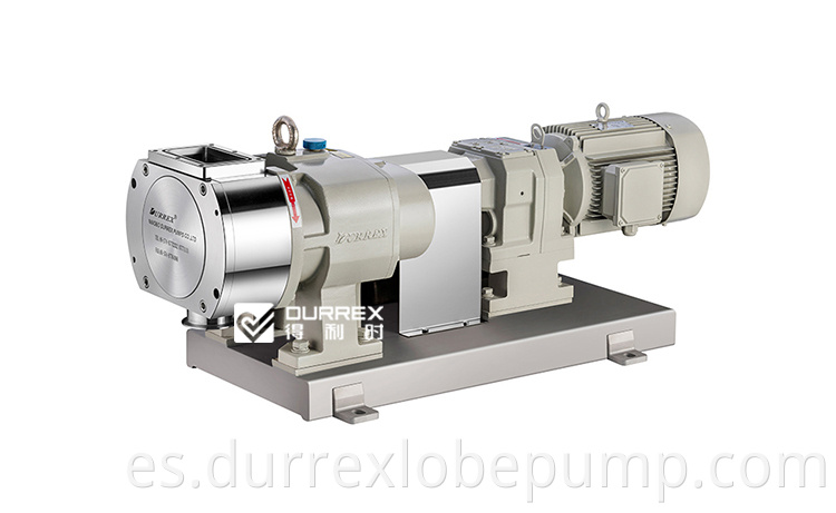 Bean-paste Transfer Pump